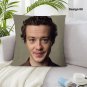 Joseph Quinn Pillow Case Custom Inspired Gift For Fans Movie Star Collectibles