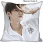 Seo In Guk Pillow Home Decorative Cushion Fabric Kpop Pillows Christmas Present