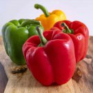 California Wonder Bell Pepper Seeds – Heirloom Sweet Pepper – Green & Golden Varieties