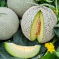 Heirloom Melon Seeds Mix &acirc;�� Sugar Baby Watermelon, Honeydew, Hale&acirc;��s Best Cantaloupe &acirc;�� Non-GMO