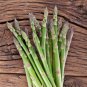 Viking KB3 Asparagus Bare Roots &acirc;�� Asparagus officinalis Hardy Heirloom Variety