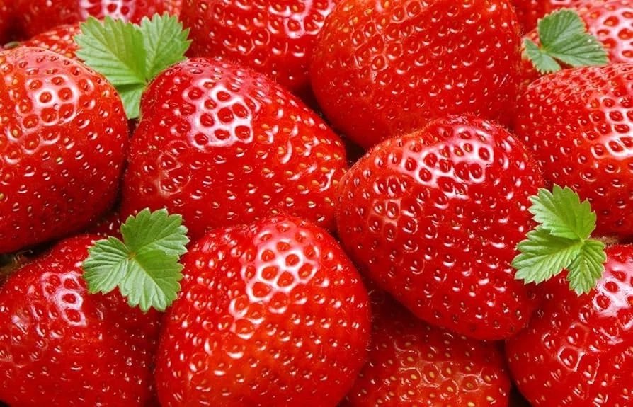 Sweet Charlie Strawberry Bare Root Plant &acirc;�� June Bearing, Very Sweet Fragaria &Atilde;� ananassa
