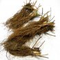 Sweet Charlie Strawberry Bare Root Plant &acirc;�� June Bearing, Very Sweet Fragaria &Atilde;� ananassa