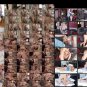 DEE WILLIAMS COLLECTION. -ON USB FLASH DRIVE