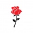 bloomingrose