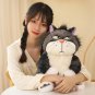 30CM Creative Cartoon Lucifer Funny Cat Plush Toy Doll Lucifer Doll Ornaments