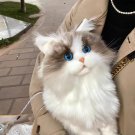 Lifelike Plush Toy Cat Soft Simulation Cat Doll Children'S Gift Elderly Companion Comfort Lifelike Plush Toy Cat Soft Simulation Cat Doll Children'S Gift Elderly Companion Comfort