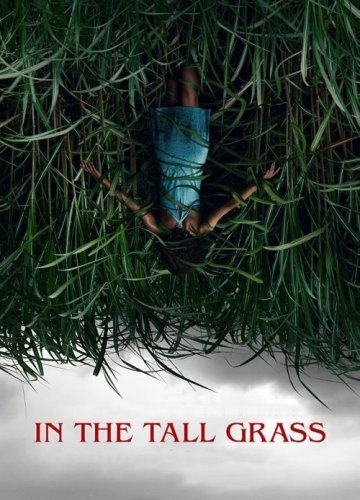 In the Tall Grass 2019 DVD Stephen King Joe Hill Horror Movie NEW MOD DVD-R