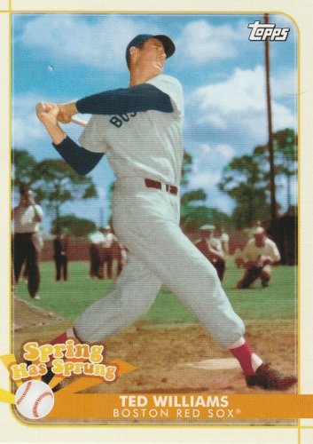 2020 Topps Opening Day Spring Has Sprung Ted Williams Boston Red Sox #SHS-3