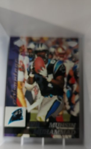 1999 Collector's Edge Advantage - Muhsin Muhammad #29