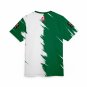 Algeria FIFA World Cup 2026 Special Fan Edition T-shirt