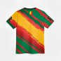 Senegal FIFA World Cup 2026 Special Fan Edition T-shirt