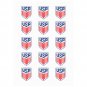 USA Flag & Soccer Fan Temporary Tattoos FIFA World Cup 2026 Edition