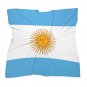 Argentina Flag Scarf &acirc;�� FIFA World Cup 2026 Edition