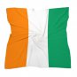 Ivory Coast Flag Scarf &acirc;�� FIFA World Cup 2026 Edition