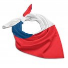 Czech Republic Flag Scarf – FIFA World Cup 2026 Edition
