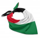 Jordan Flag Scarf – FIFA World Cup 2026 Edition Jordan Flag Scarf – FIFA World Cup 2026 Edition