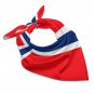 Norway Flag Scarf – FIFA World Cup 2026 Edition
