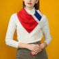 Norway Flag Scarf &acirc;�� FIFA World Cup 2026 Edition
