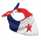 Panama Flag Scarf – FIFA World Cup 2026 Edition