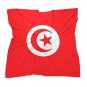 Tunisia Flag Scarf &acirc;�� FIFA World Cup 2026 Edition