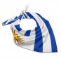 Uruguay Flag Scarf &acirc;�� FIFA World Cup 2026 Edition