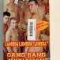 Gay 90s VHS cassette tapes Hollywood Sales Rosebud Male studio VTG lot of 10 V28
