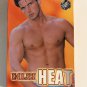 Gay 90s VHS cassette tapes Rage Collection Huge Matt Sterling VTG lot of 10 V41