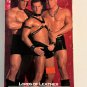 Gay 90s VHS cassette tapes Stallion Video VTG lot of 10 V42
