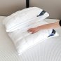 2-Pack Supportive Bed Pillows for Better Sleep and Neck Comfort