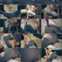 STRAPLESS LESBIANS..VOLUME..1