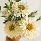 100+ Cactus Snowman Zinnia Seeds – White Cactus-Flowered Zinnia Seeds for Garden & Bouquets