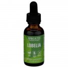 Sprouts Farmers Market Herbal Supplement Lobelia Respiratory System 500 mg 1 oz Sprouts Farmers Market Herbal Supplement Lobelia Respiratory System 500 mg 1 oz