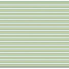Briday Wrapping Paper - Striped Green and White Design