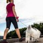 MRK Group Hands Free Dog Leash (Blue)