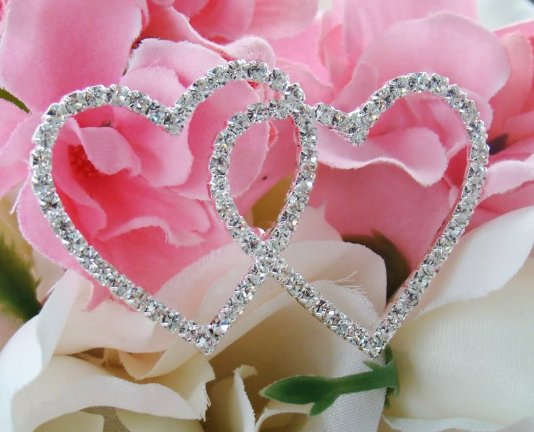 Forever & Always... Crystal Double Heart Bouquet Jewel ~ Silver