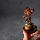 Real Mushroom display