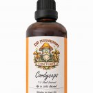 Dr Mushrooms UK Cordyceps Mushroom Tincture 100ml XL - The Energy & Performance Mushroom Dr Mushrooms UK Cordyceps Mushroom Tincture 100ml XL - The Energy & Performance Mushroom