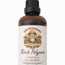 Dr Mushrooms UK Birch Polypore Mushroom Tincture 100ml XL - Gut & Immune Support Mushroom Dr Mushrooms UK Birch Polypore Mushroom Tincture 100ml XL - Gut & Immune Support Mushroom