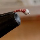 midge magic size 18 zebra midge 10 pack tungsten bead head