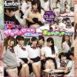 JAV HARELM TITLE SET.#.8-ON USB FLASH DRIVE