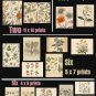 Vintage Botanical Wall Art Set of 16 | Antique Herbarium Prints | Neutral Nature Gallery Wall