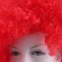 Synthetic Red Funky Unisex Short Curly Clown Wig for Fun FREE SHIPPING