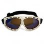 Sport Ski Snowboard Goggles Anti-Fog Anti-Scratch White FREE Shipping