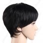 Straight Stylish Synthetic Hair Short Wig Hairpiece