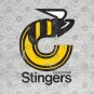 The Cincinnati Stingers - - - - 70s Hockey Team T-Shirt