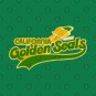 Defunct California Golden Seals Hockey Team T-Shirt