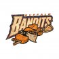 Buffalo Bandits Logo Vintage T-Shirt