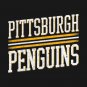 Pittsburgh-Penguins-Hockey T-Shirt