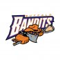 Buffalo Bandits Classic T-Shirt